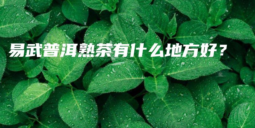 易武普洱熟茶有什么地方好？插圖