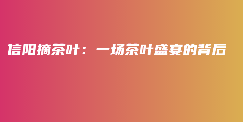 信陽摘茶葉：一場茶葉盛宴的背后插圖
