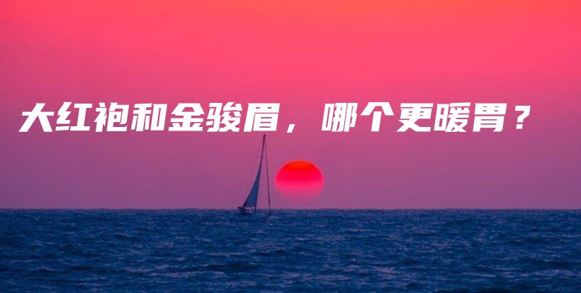大紅袍和金駿眉，哪個(gè)更暖胃？插圖