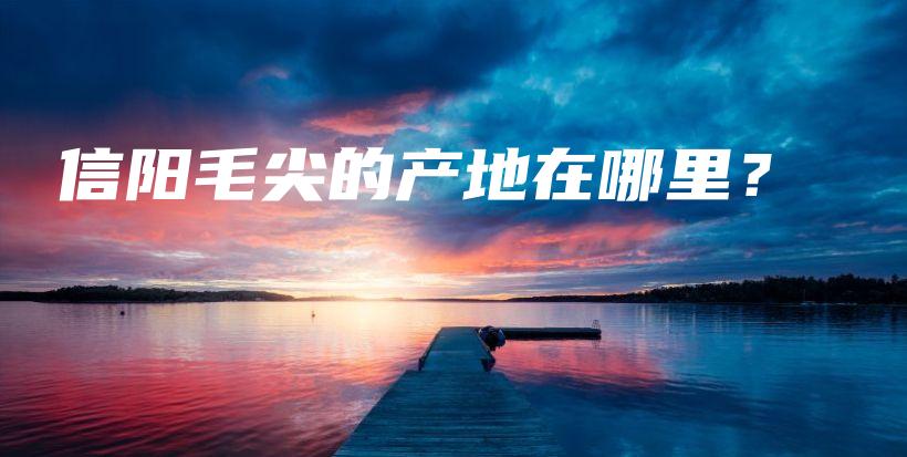 信陽毛尖的產(chǎn)地在哪里？插圖
