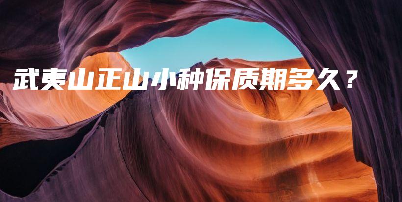 武夷山正山小種保質(zhì)期多久？插圖