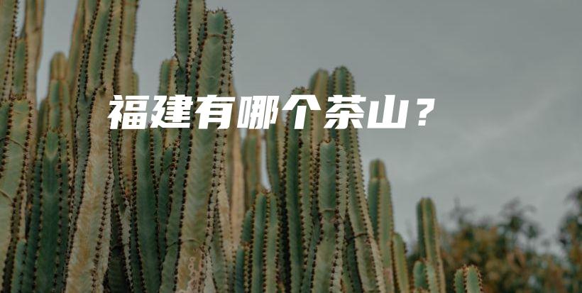 福建有哪個(gè)茶山？插圖
