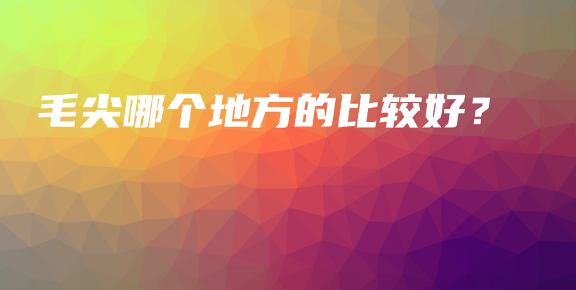 毛尖哪個(gè)地方的比較好？插圖