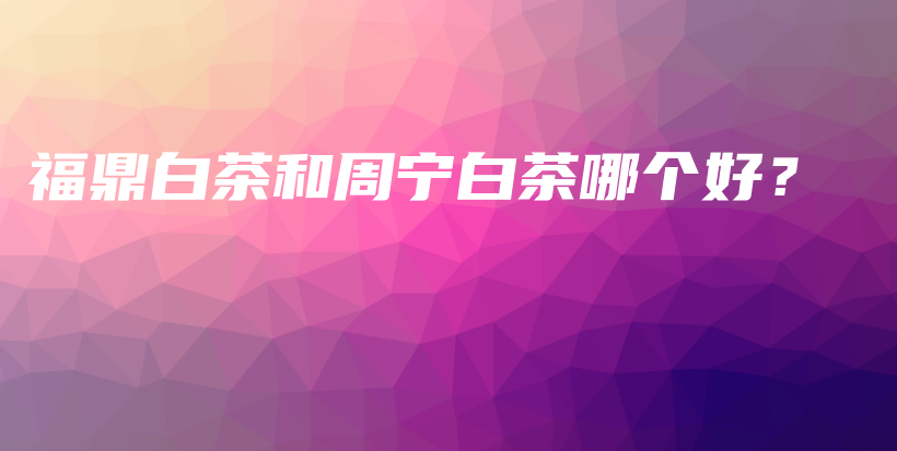 福鼎白茶和周寧白茶哪個(gè)好？插圖