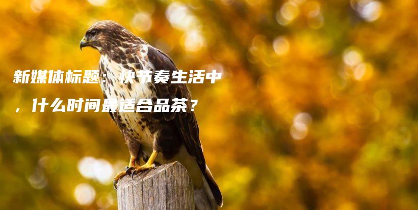 新媒體標(biāo)題：快節(jié)奏生活中，什么時間最適合品茶？插圖