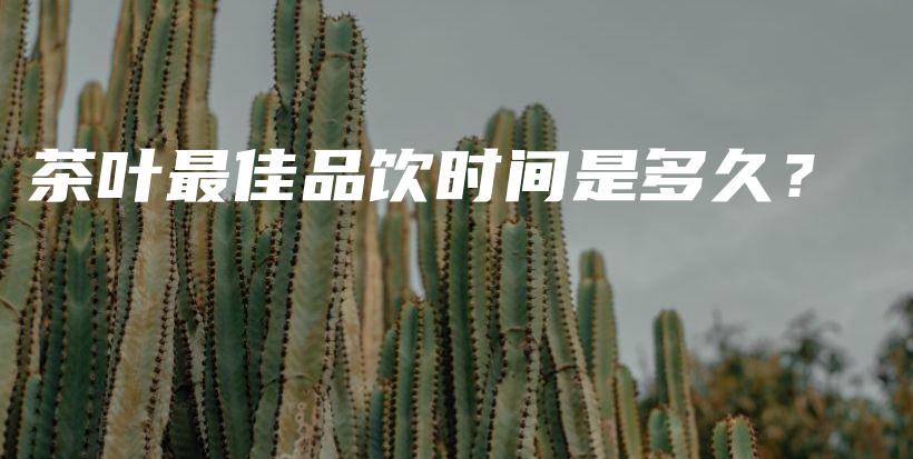 茶葉最佳品飲時(shí)間是多久？插圖