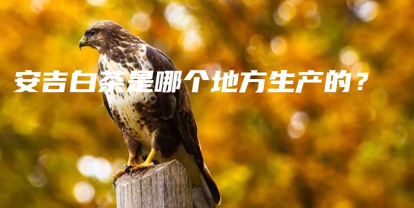 安吉白茶是哪個(gè)地方生產(chǎn)的？插圖