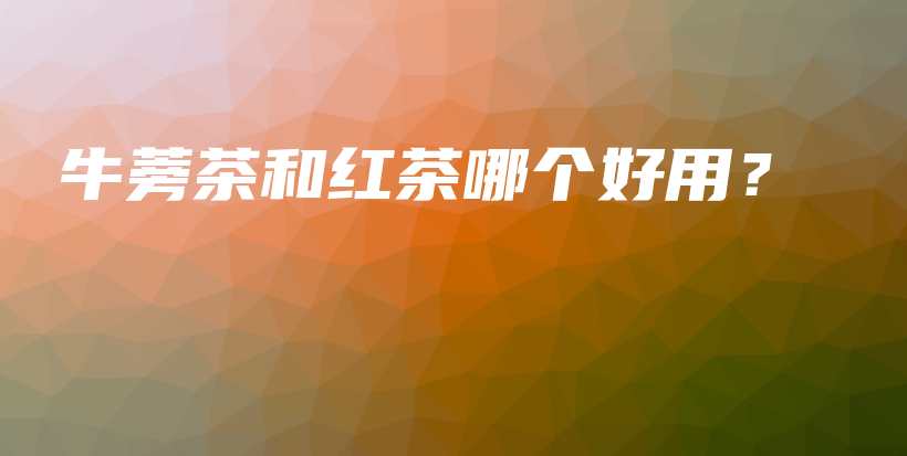 牛蒡茶和紅茶哪個好用？插圖