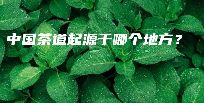 中國茶道起源于哪個地方？插圖