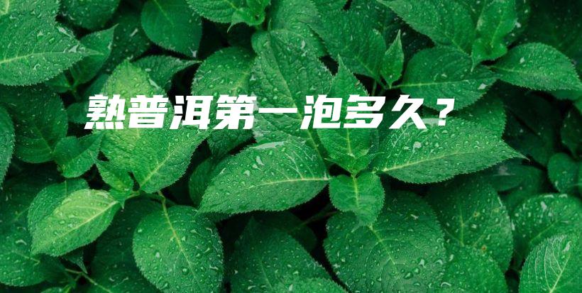 熟普洱第一泡多久？插圖