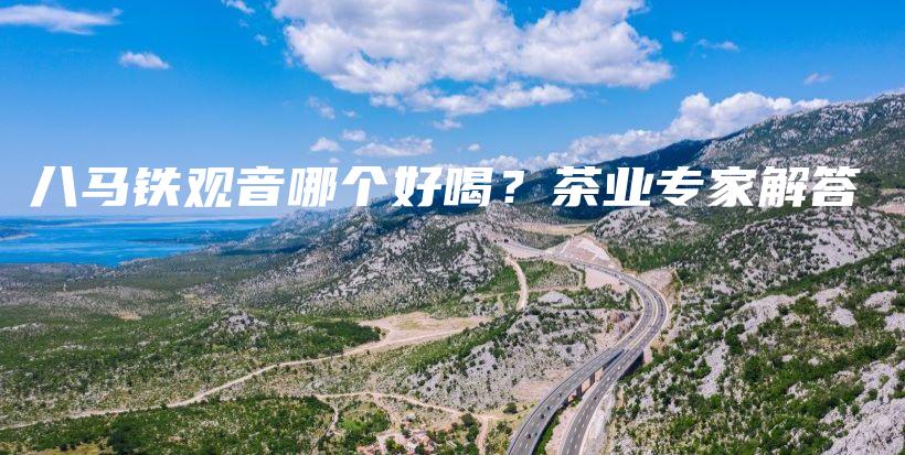 八馬鐵觀音哪個好喝？茶業(yè)專家解答插圖