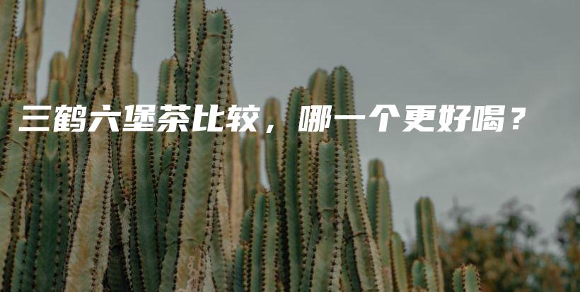 三鶴六堡茶比較，哪一個(gè)更好喝？插圖