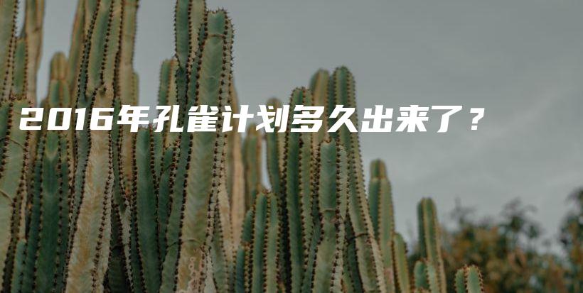 2016年孔雀計劃多久出來了？插圖