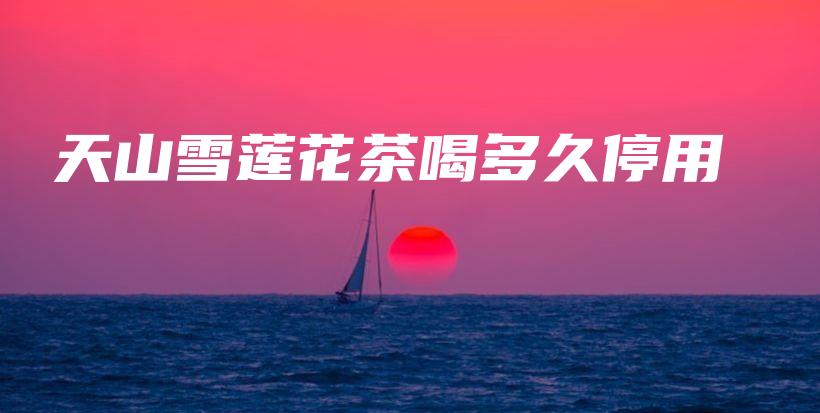 天山雪蓮花茶喝多久停用插圖