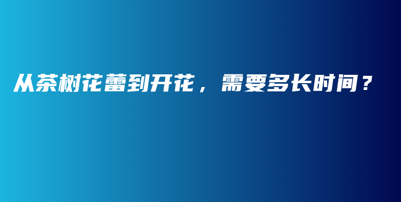 從茶樹(shù)花蕾到開(kāi)花，需要多長(zhǎng)時(shí)間？插圖