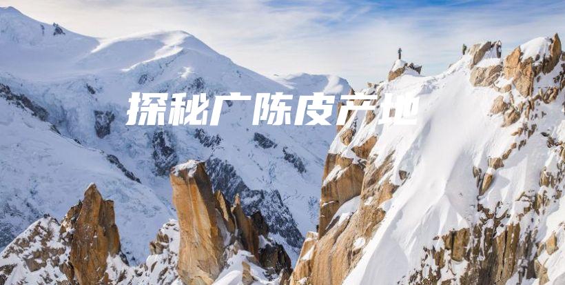 探秘廣陳皮產(chǎn)地插圖