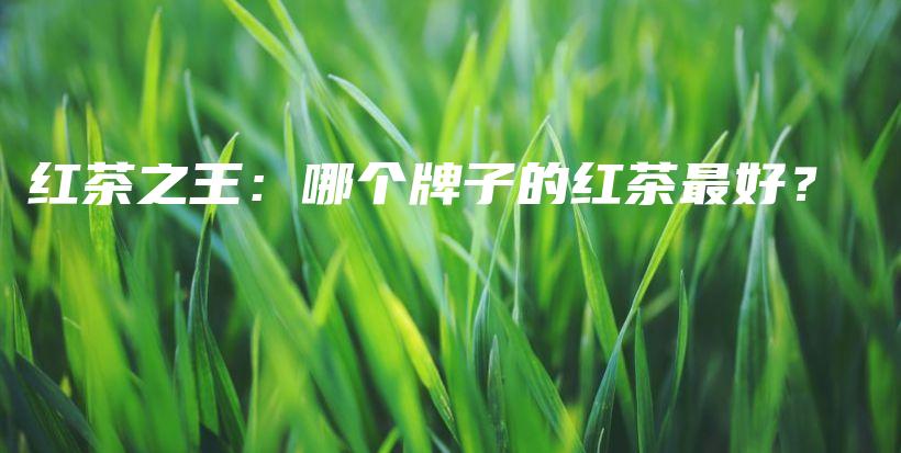 紅茶之王：哪個(gè)牌子的紅茶最好？插圖
