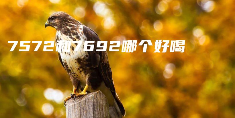 7572和7692哪個(gè)好喝插圖