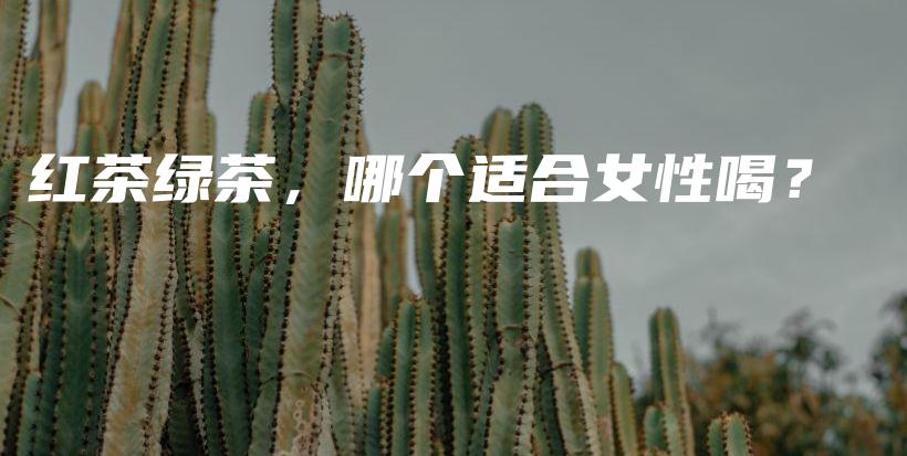 紅茶綠茶，哪個適合女性喝？插圖
