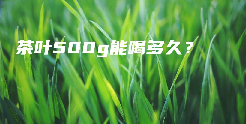 茶葉500g能喝多久？插圖