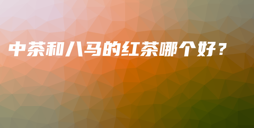 中茶和八馬的紅茶哪個好？插圖