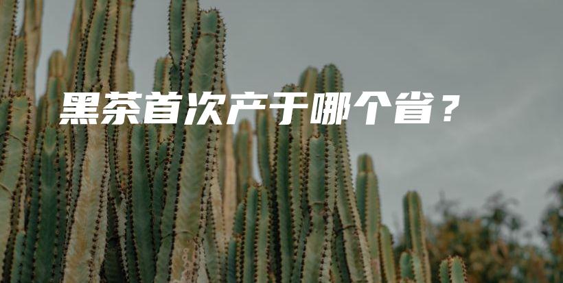 黑茶首次產(chǎn)于哪個??？插圖