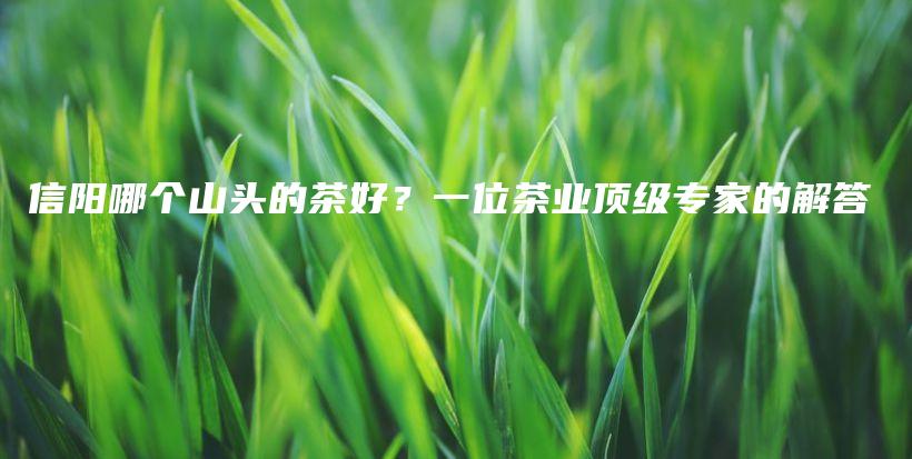 信陽哪個(gè)山頭的茶好？一位茶業(yè)頂級(jí)專家的解答插圖