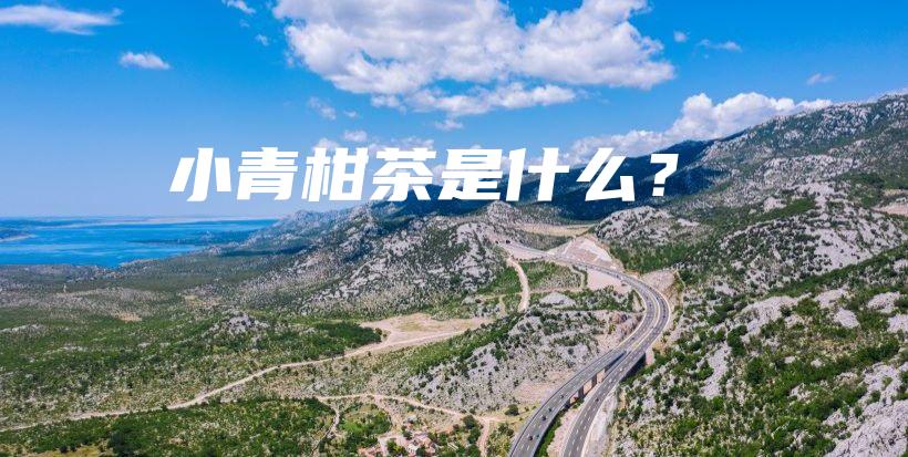 小青柑茶是什么？插圖