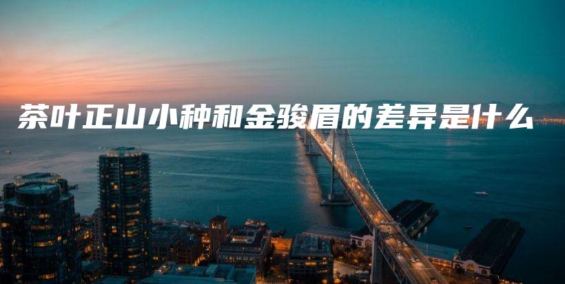 茶葉正山小種和金駿眉的差異是什么插圖