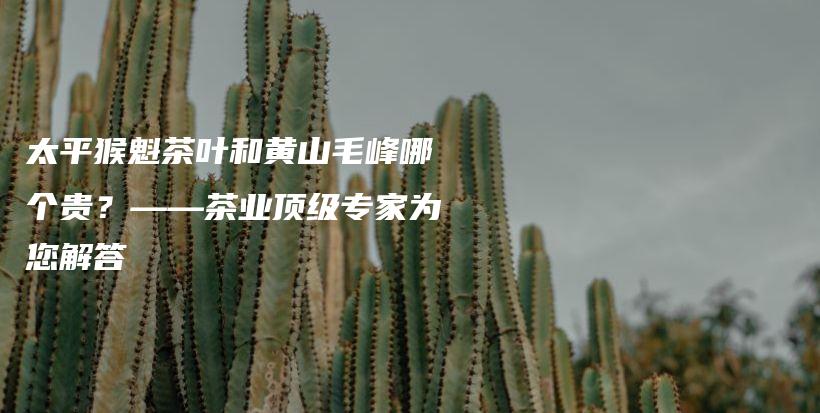 太平猴魁茶葉和黃山毛峰哪個(gè)貴？——茶業(yè)頂級(jí)專家為您解答插圖