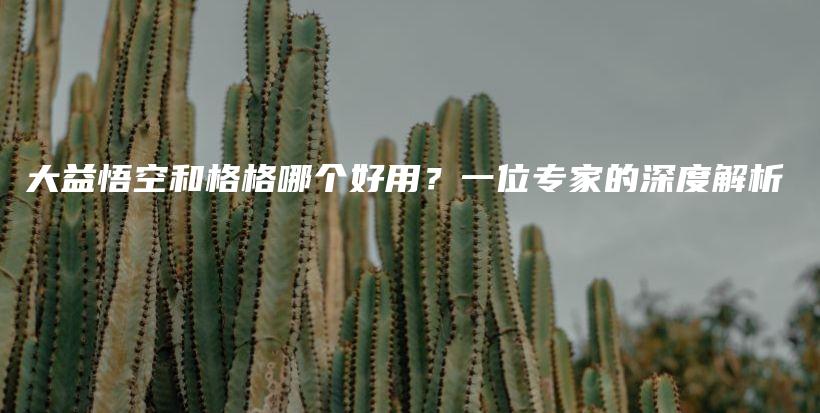 大益悟空和格格哪個(gè)好用？一位專(zhuān)家的深度解析插圖