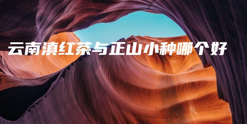 云南滇紅茶與正山小種哪個好插圖