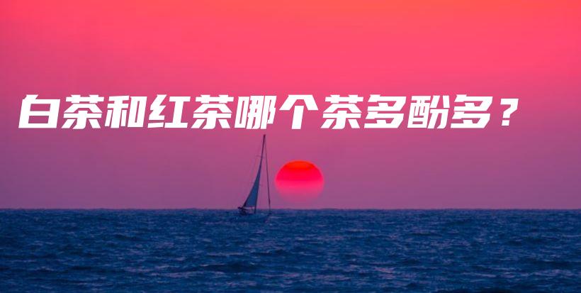 白茶和紅茶哪個(gè)茶多酚多？插圖