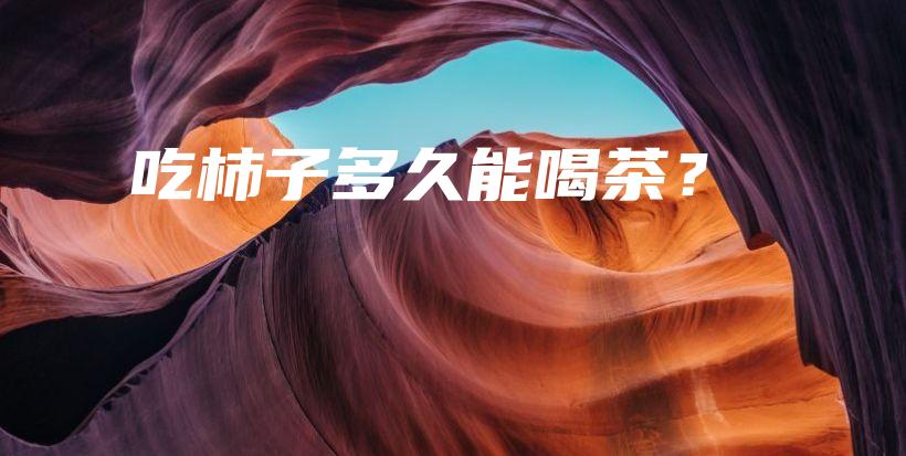 吃柿子多久能喝茶？插圖