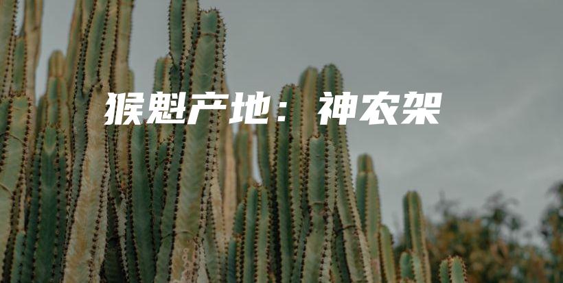 猴魁產(chǎn)地：神農(nóng)架插圖