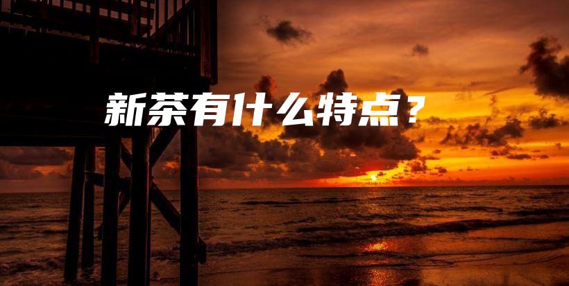 新茶有什么特點？插圖
