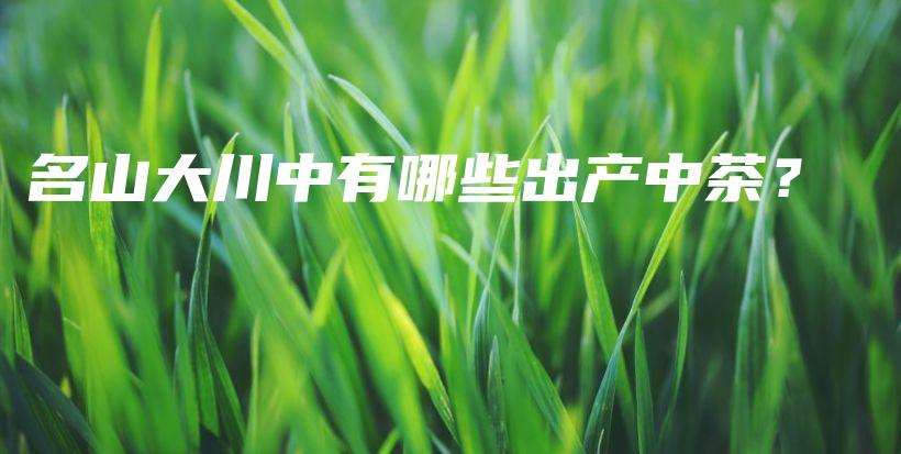 名山大川中有哪些出產(chǎn)中茶？插圖