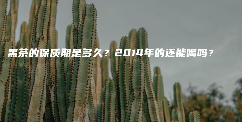 黑茶的保質(zhì)期是多久？2014年的還能喝嗎？插圖