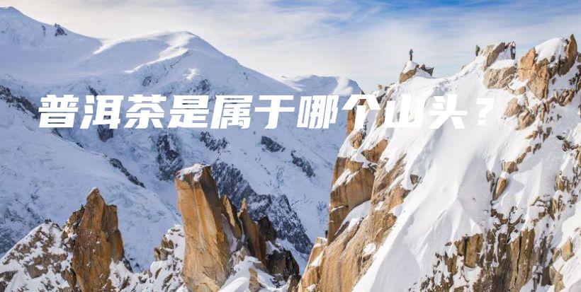 普洱茶是屬于哪個(gè)山頭？插圖