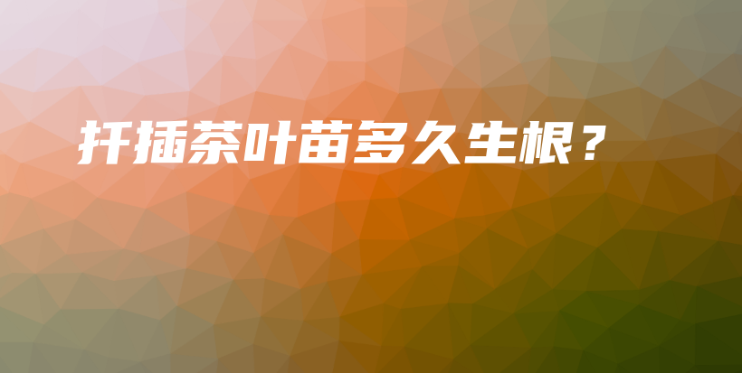 扦插茶葉苗多久生根？插圖