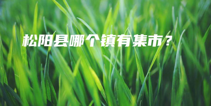松陽縣哪個(gè)鎮(zhèn)有集市？插圖