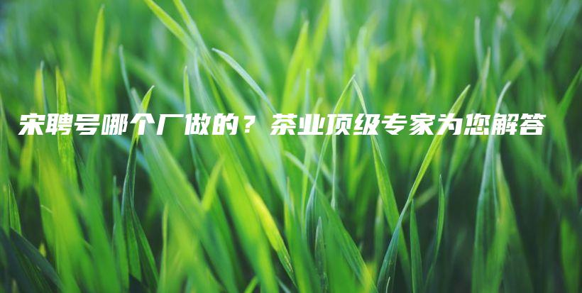 宋聘號(hào)哪個(gè)廠做的？茶業(yè)頂級(jí)專家為您解答插圖