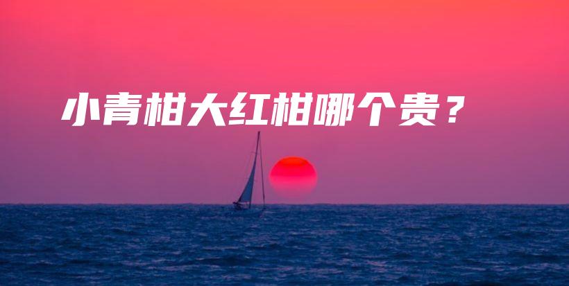 小青柑大紅柑哪個(gè)貴？插圖