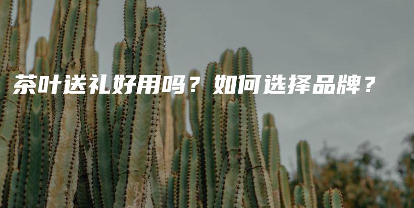 茶葉送禮好用嗎？如何選擇品牌？插圖
