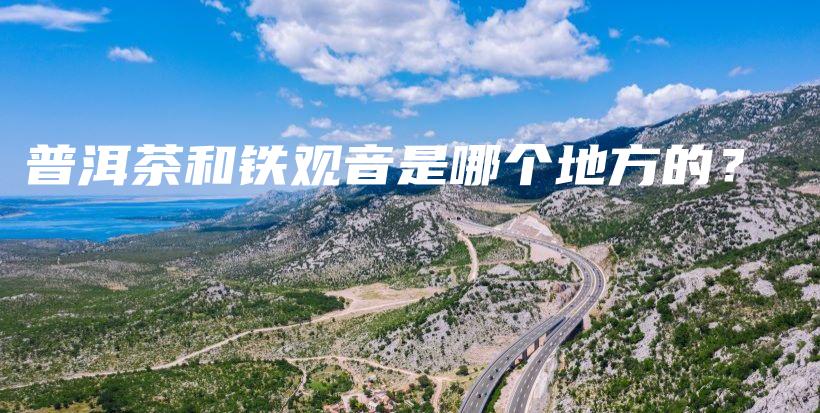 普洱茶和鐵觀音是哪個地方的？插圖