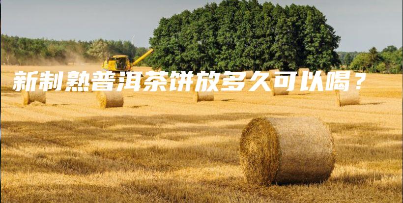 新制熟普洱茶餅放多久可以喝？插圖