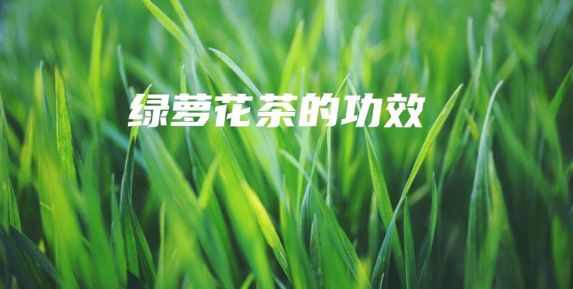 綠蘿花茶的功效插圖
