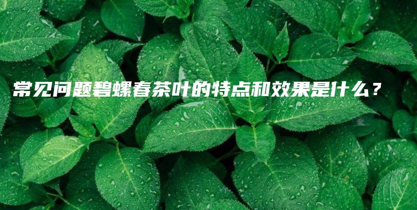 常見問題碧螺春茶葉的特點和效果是什么？插圖
