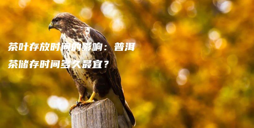 茶葉存放時(shí)間的影響：普洱茶儲(chǔ)存時(shí)間多久最宜？插圖