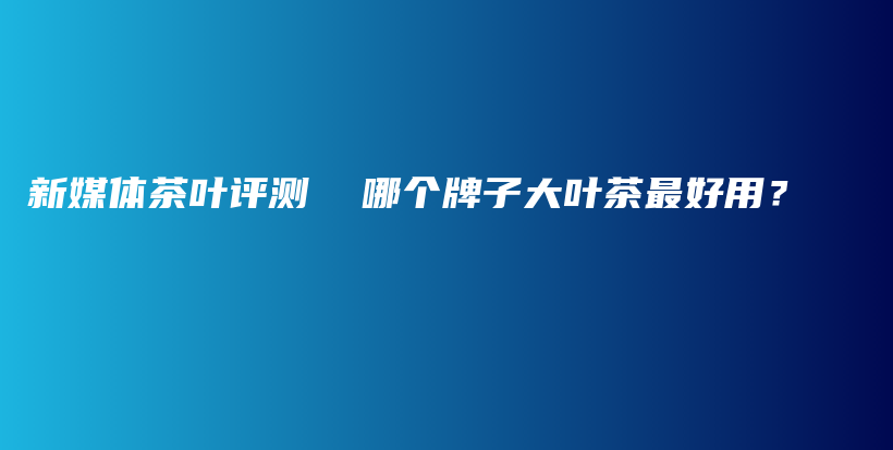 新媒體茶葉評(píng)測  哪個(gè)牌子大葉茶最好用？插圖